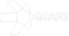 Quant Logo